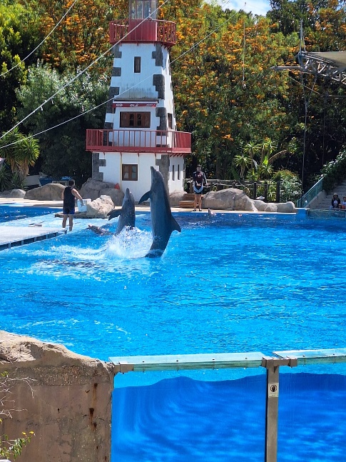 zoo 3