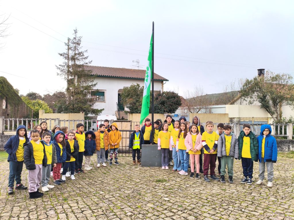 pBairro 7
