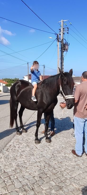 p1000102616