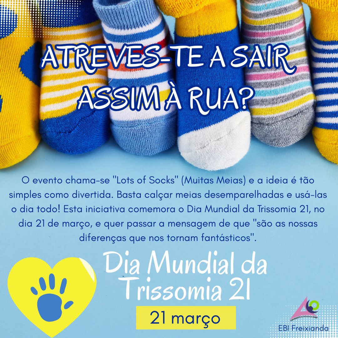 Lots of Socks EBI Freixianda